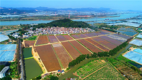 珠海横琴下村图片